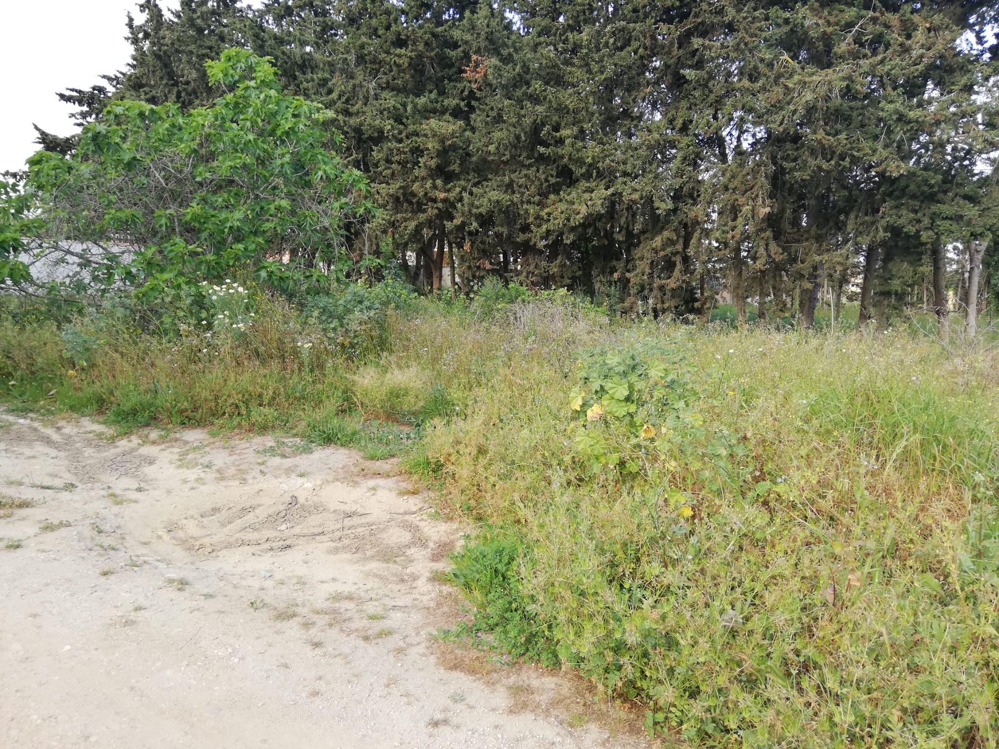 Vendita di terreno in Chiclana de la Frontera